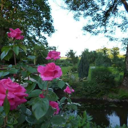 Le Moulin Du Bignon Lassy Exterior foto